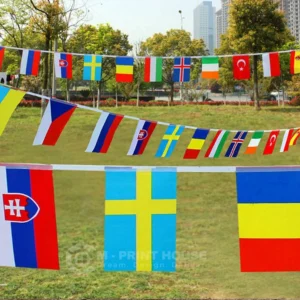 Bunting flags